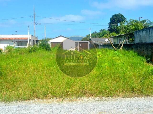 #TM701 - Terreno para Venda em Guaratuba - PR
