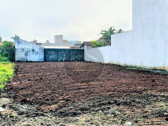 #TM703 - Terreno para Venda em Guaratuba - PR