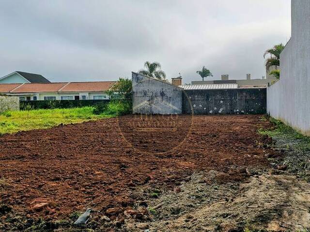 #TM703 - Terreno para Venda em Guaratuba - PR